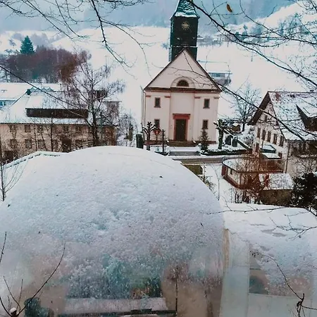 Lüks kamp alanı Bubble Tent Elzach- Schlafen Unterm Sternenhimmel- By Living Timeless Elzach